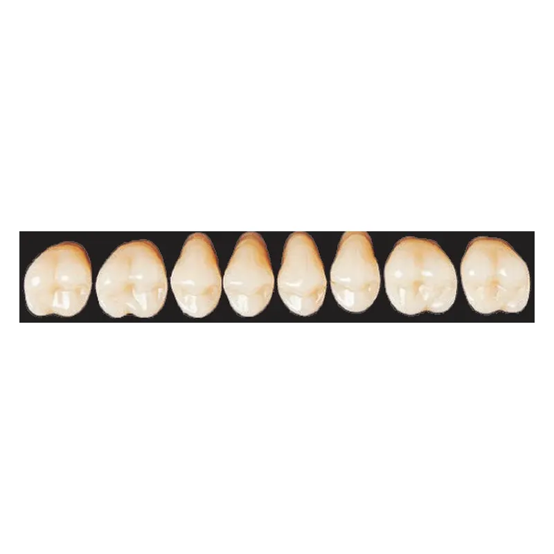 Dientes de acrílico Ortolux (tableta)