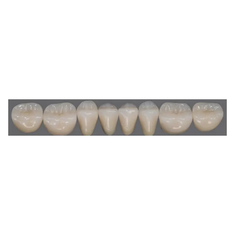 Dientes de acrílico Tiziano (tableta)
