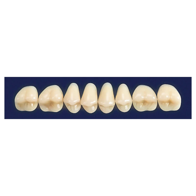 Dientes de acrílico Olympic (tableta)